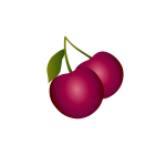 Cherry SVG